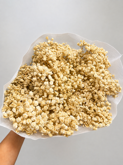 Preserved Baby Breath Bouquet