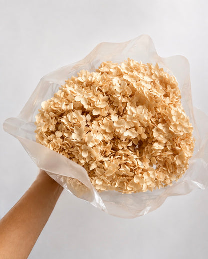 Preserved Hydrangea Bouquet