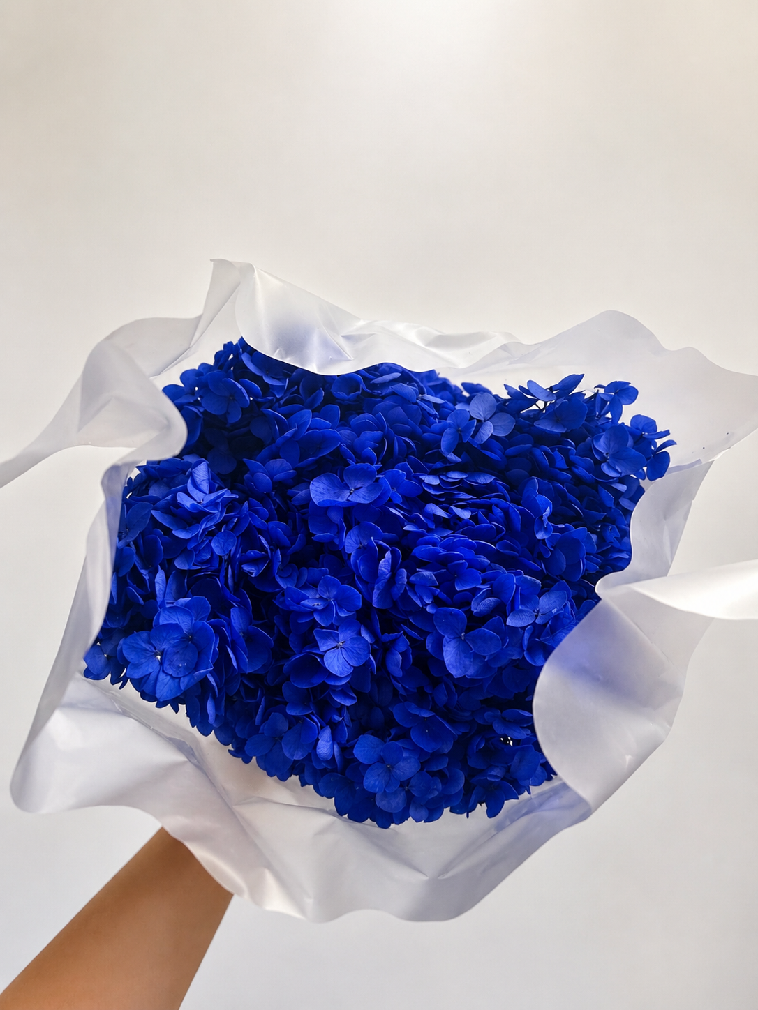 Preserved Hydrangea Bouquet