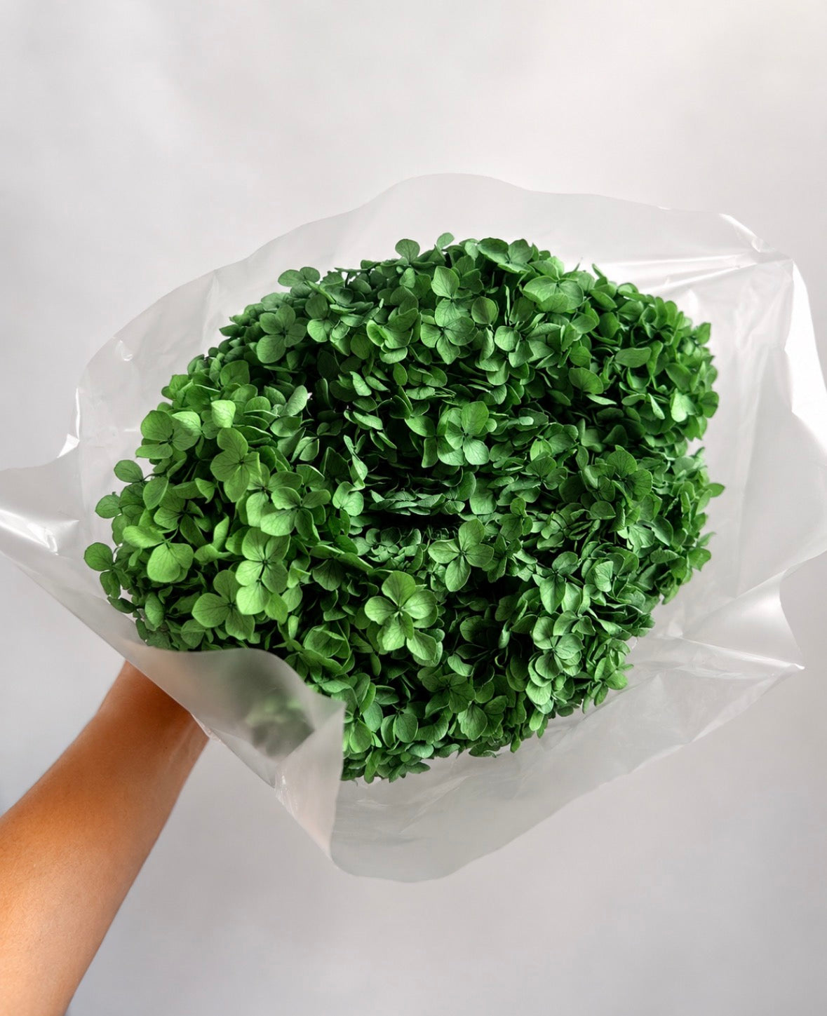 Preserved Hydrangea Bouquet