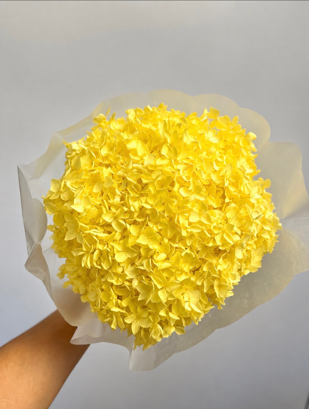Preserved Hydrangea Bouquet